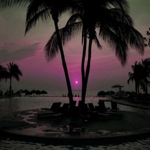 Meet your Posher, Reggie